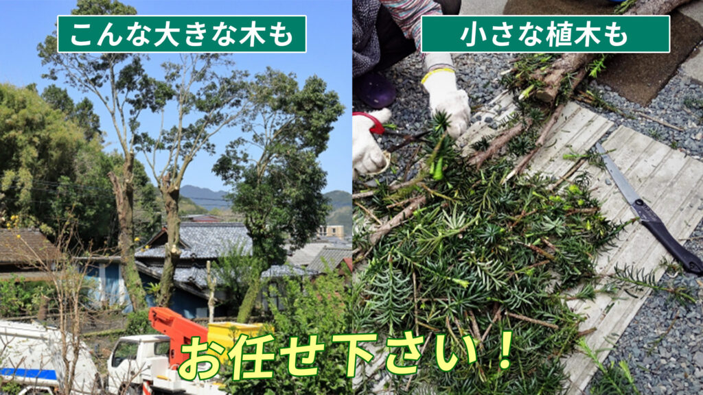 庭木の伐採は地域密着の伐採業者が迅速に解決します | ちょっとした 